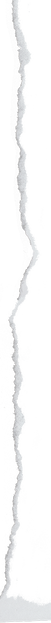 Ripped Paper Line Texture